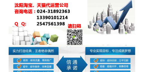 沈陽電商代運(yùn)營 一站式解決方案助力企業(yè)電子商務(wù)騰飛